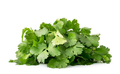 6 consejos fáciles de marketing de contenidos 1 cilantro